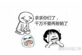 滦县债务清欠服务