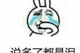 滦县融资清欠服务